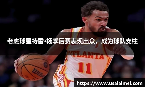 老鹰球星特雷·杨季后赛表现出众，成为球队支柱